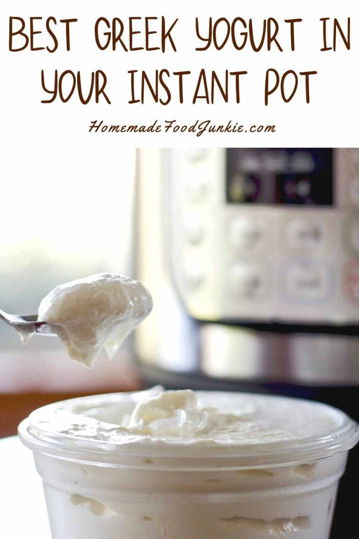 Instant Pot Greek Yogurt Recipe Homemade Food Junkie