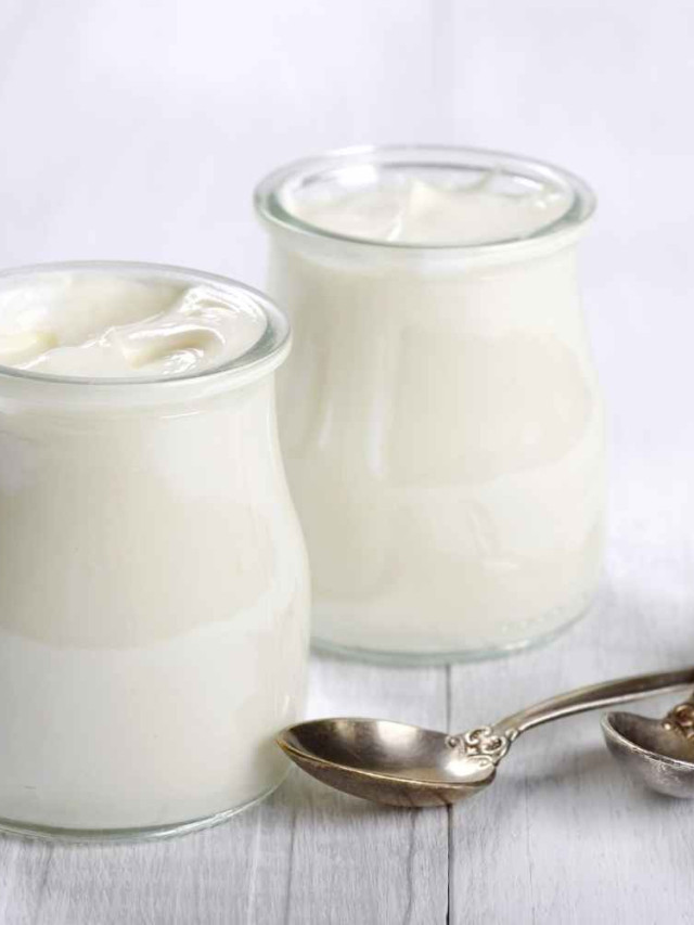 Instant Pot Greek Yogurt Tutorial Homemade Food Junkie