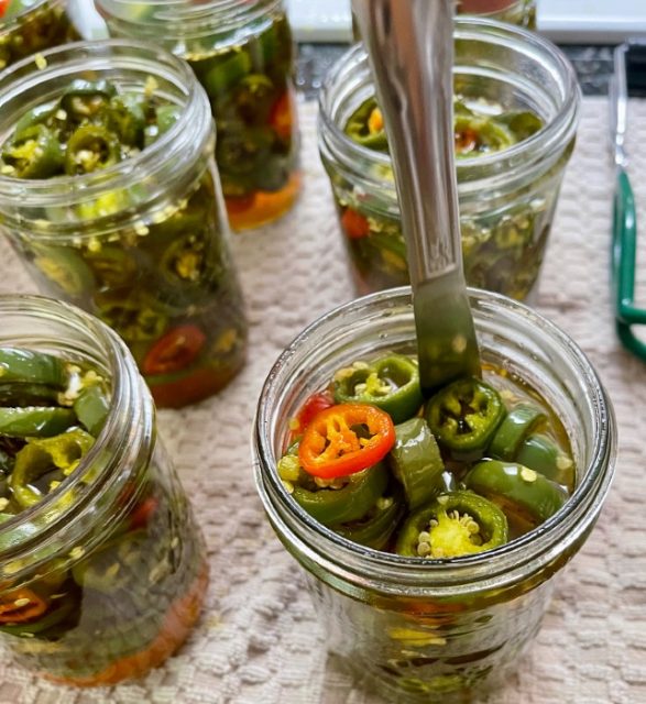 Sweet and Spicy Candied Jalapeños Homemade Food Junkie