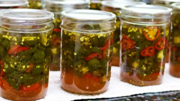 Row Of Canned Candied JalapeÑO