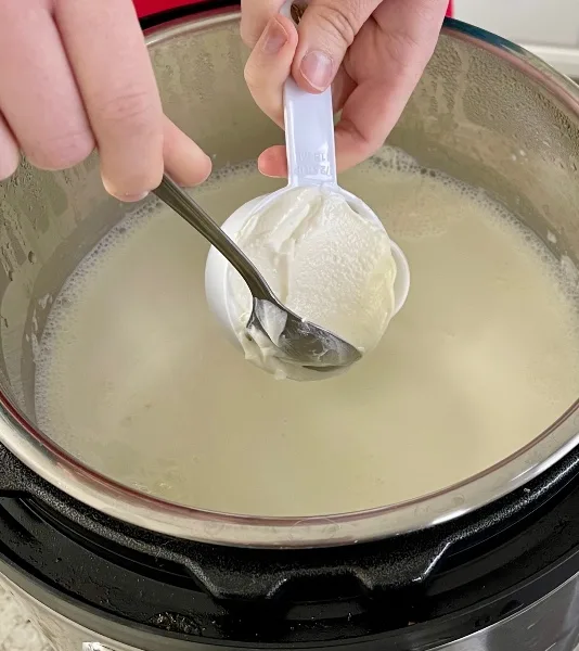 Foolproof Instant Pot Yogurt #12 (Ultimate Beginner's Guide)