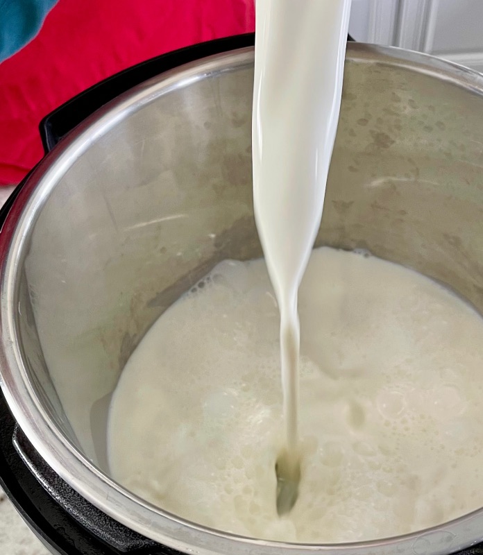 Instant Pot Greek Yogurt Recipe