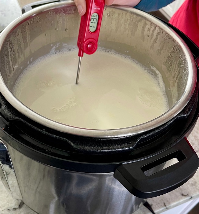 The Easiest Homemade Greek Yogurt in an Instant Pot - Reinvented Delaware