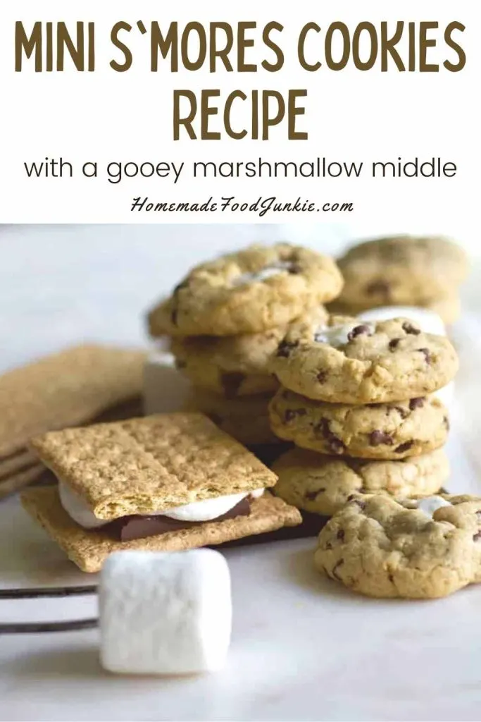 Mini S'mores Cookies-Pin Image