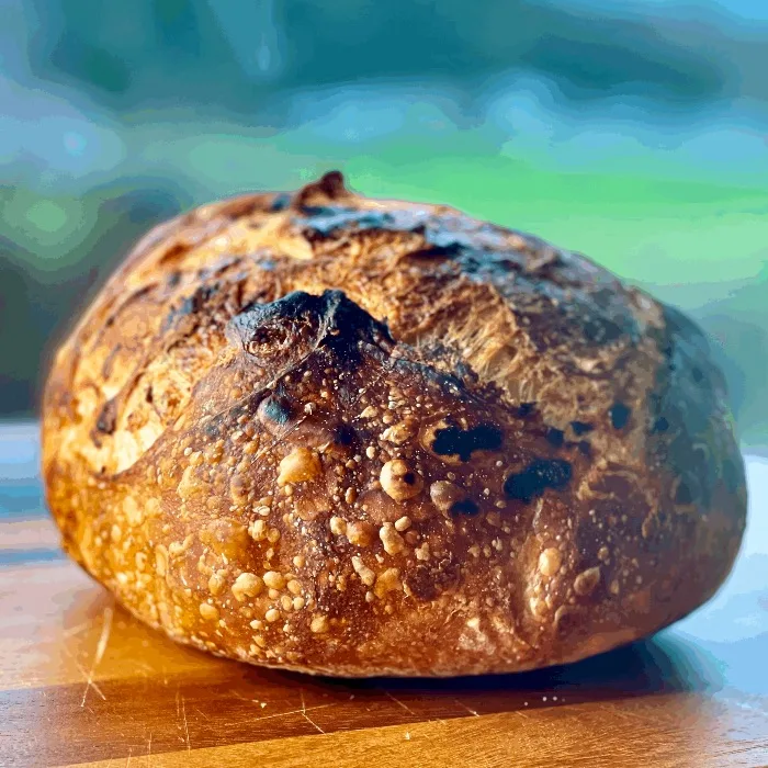 Dutch Oven Sourdough Bread with Pickled Jalapeños and Cheddar Cheese