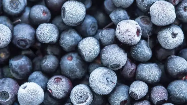 frozen blueberries