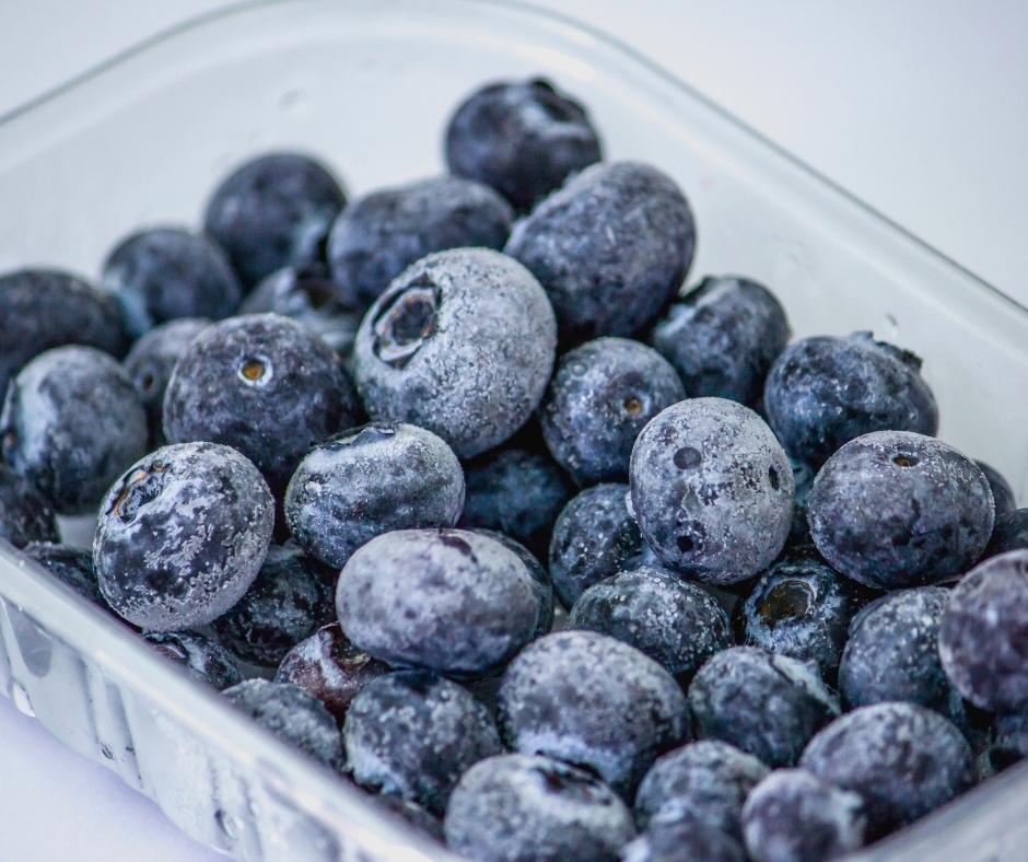 Freezing Fresh Blueberries Easily 4 Frozen Blueberries In Plastic Container
