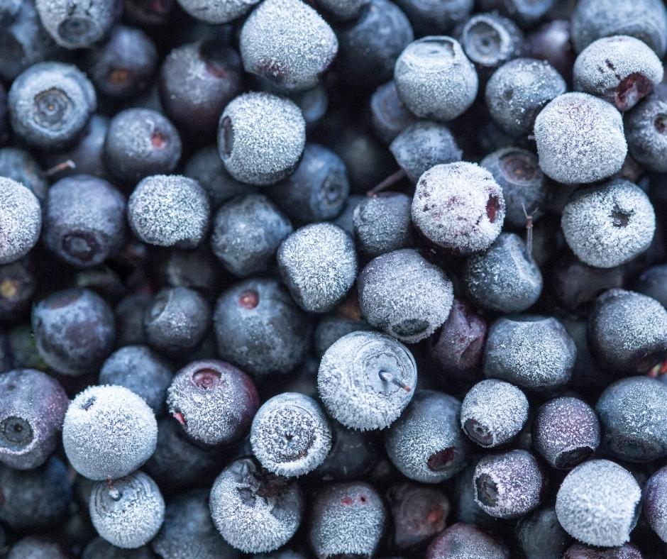 Freezing Fresh Blueberries Easily 1 Frozen Blueberries