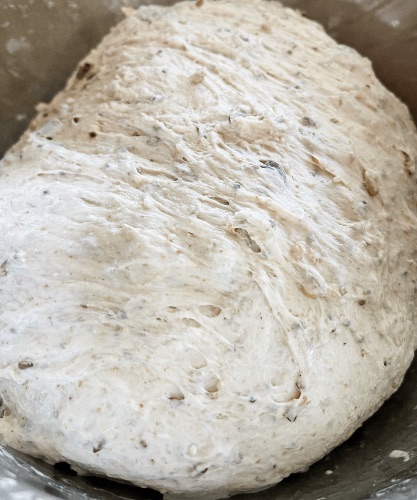 Multigrain Bread Dough With Seeds