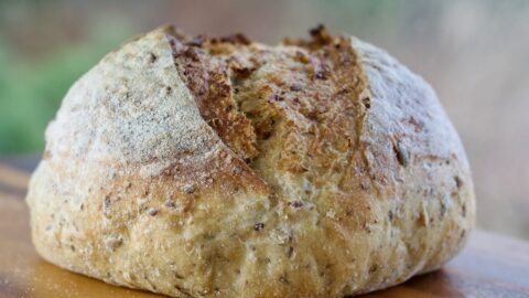 Sourdough Multiseed Bread Close Up