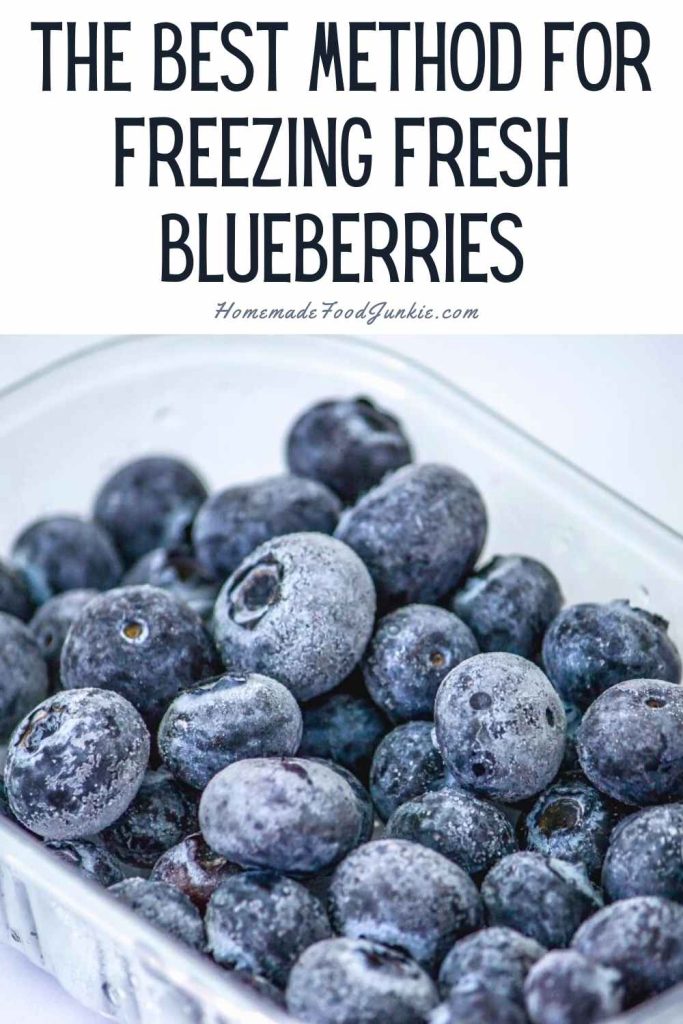 The Best Method For Freezing Fresh Blueberries-Pin Image