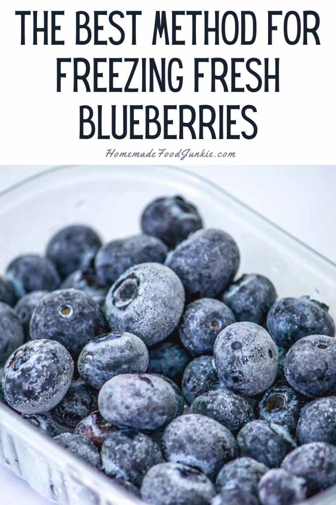 Freezing Fresh Blueberries Easily 12 The Best Method For Freezing Fresh Blueberries-Pin Image