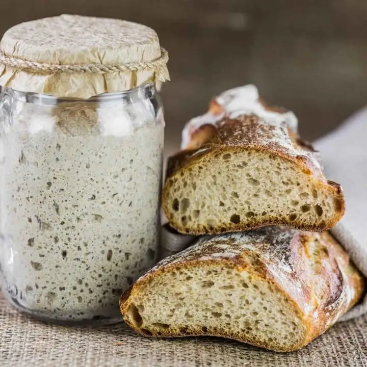 sourdough troubleshooting guide