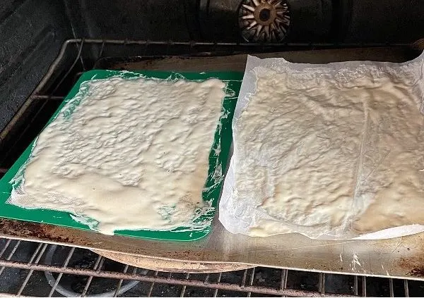 Drying Sourdough Starter In The Oven