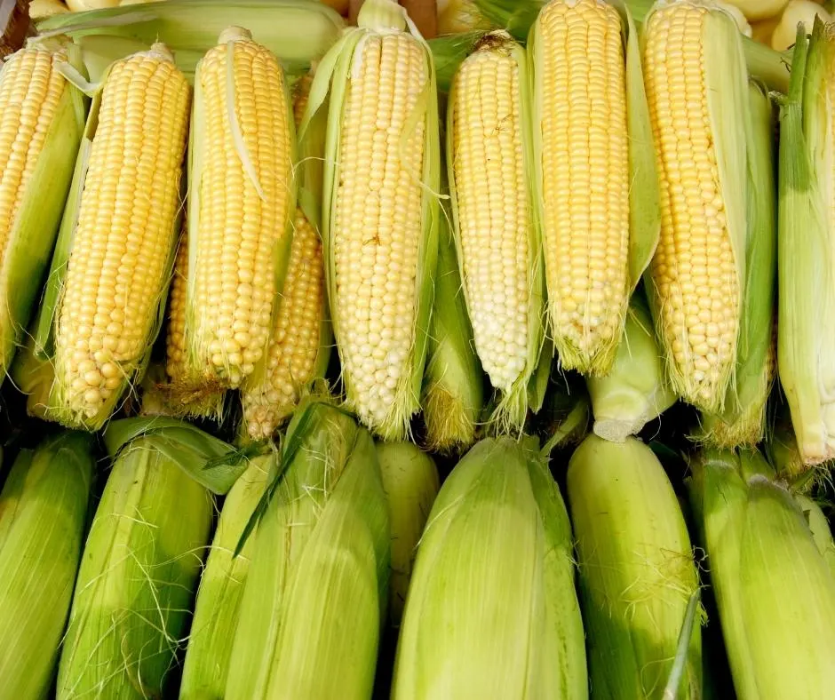 Freezing Corn On The Cob 2 Corn To Freeze