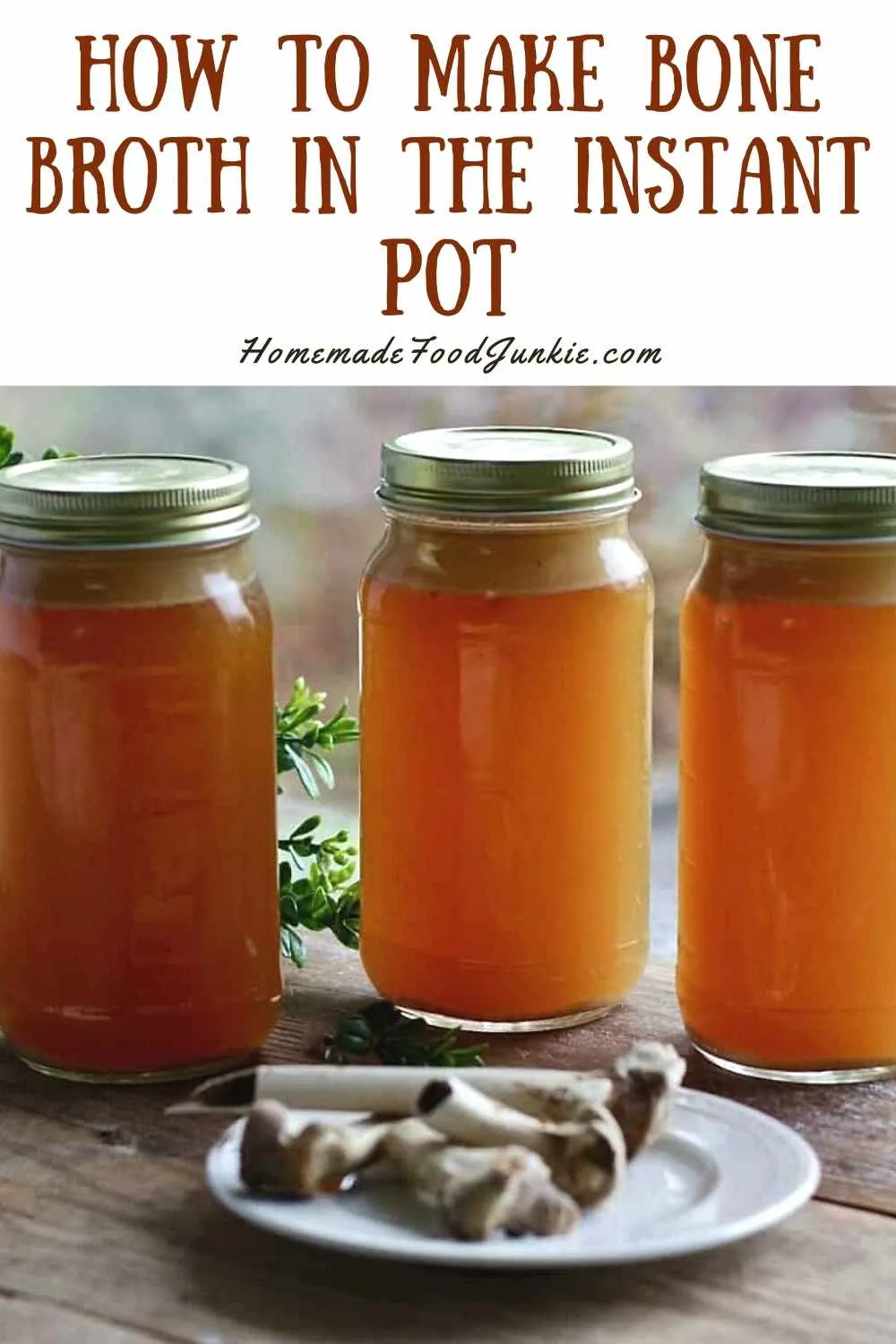 Instant Pot Four Bean Beef Stew 4 Homemade Bone Broth In The Instant Pot-Pin Image