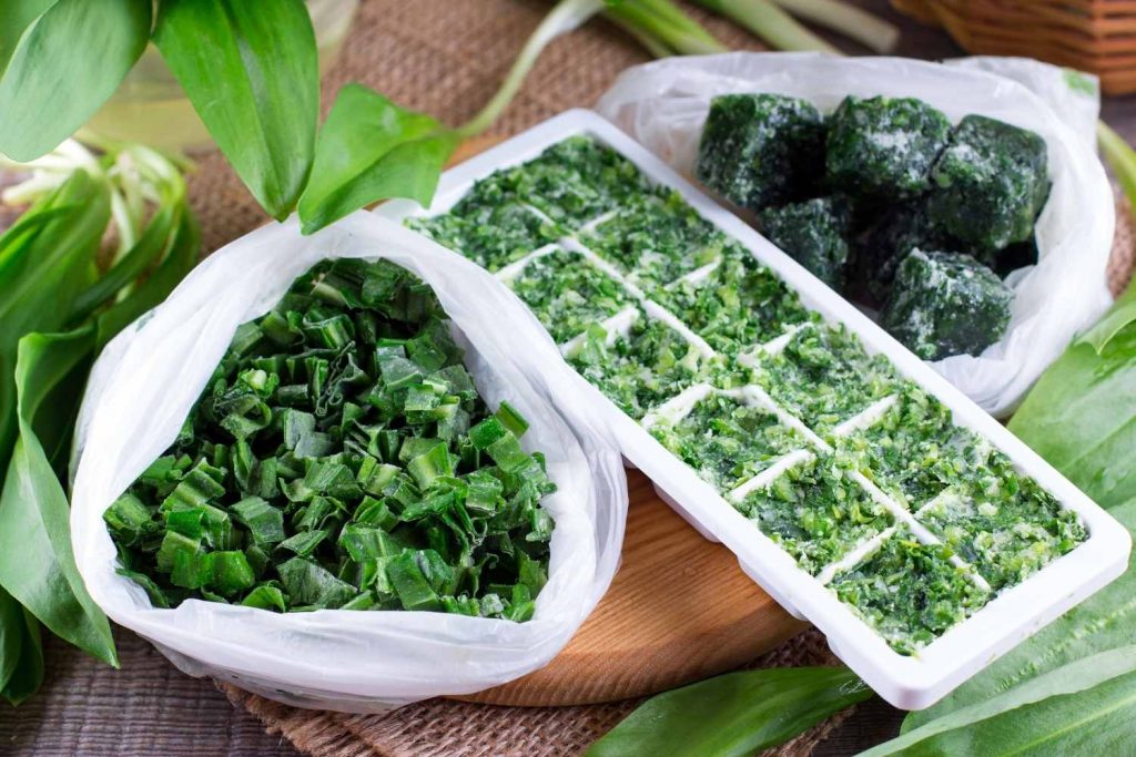 Chopped Chives Frozen In Water In Ice Cube Trays. How To Freeze Herbs