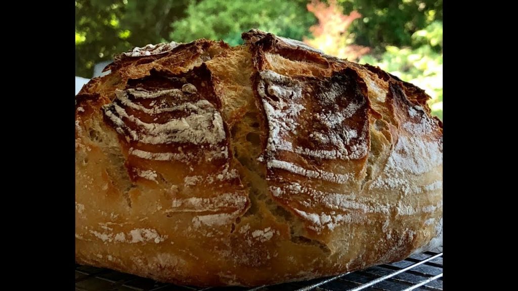 Sourdough Troubleshooting Guide 5 sourdough trouble shooting guide. bread with heavy crust