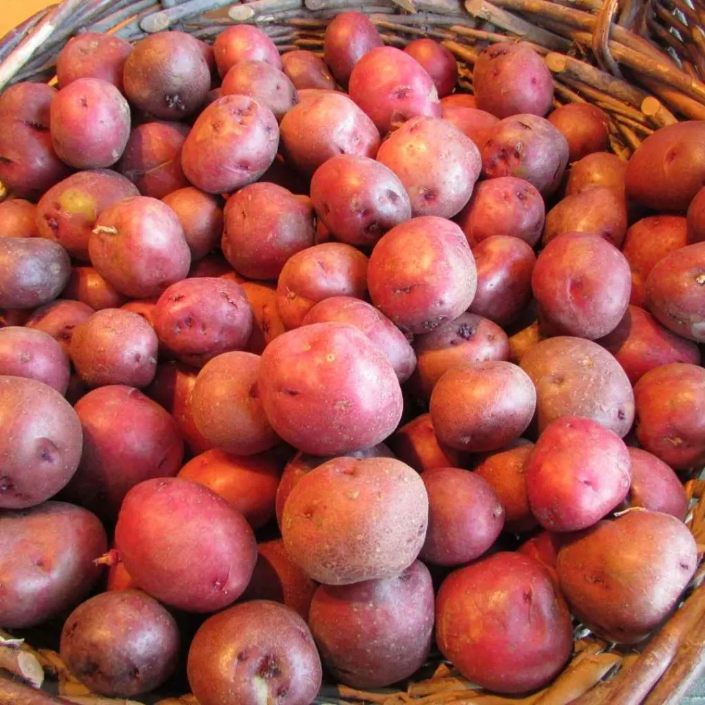 How to Cook With Potatoes for Easy Weeknight Dinners 4 red potatoes