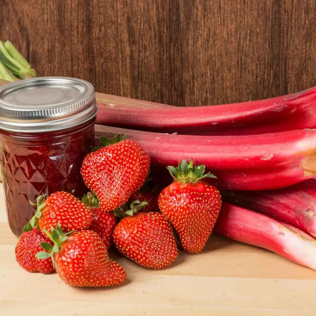 Strawberry Rhubarb Sauce 2