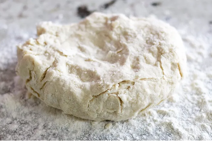 Sourdough Tortilla Dough=Shaggy Ball Stage