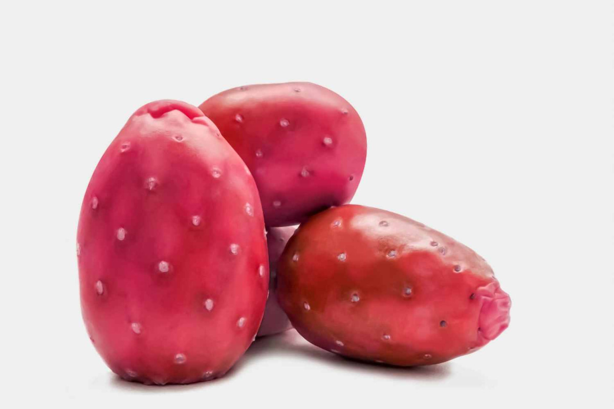 Easy Prickly Pear Syrup Recipe Homemade Food Junkie