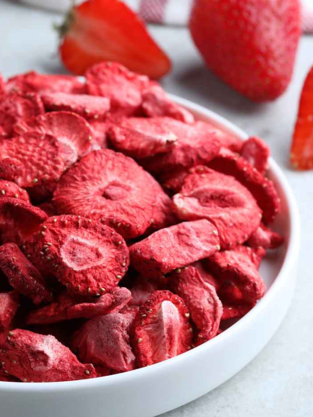 Is a Home Food Freeze Dryer Right for You? Homemade Food Junkie