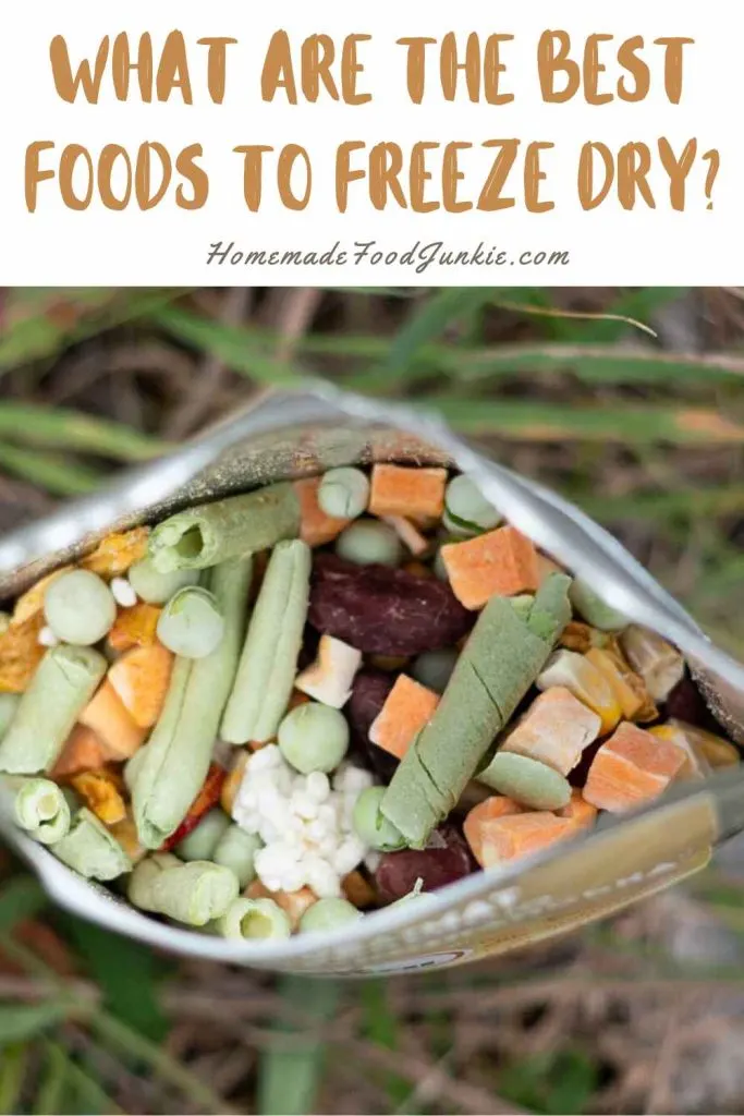 What Is Good To Freeze Dry? 5 What Are The Best Foods To Freeze Dry 1