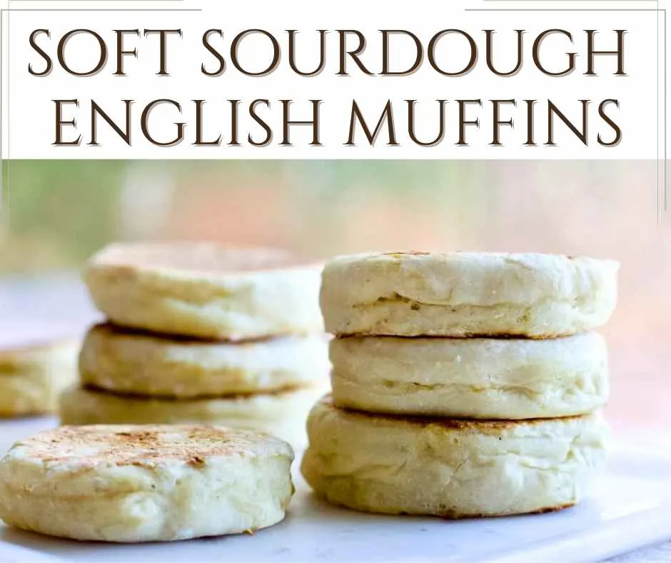 Sourdough English Muffins