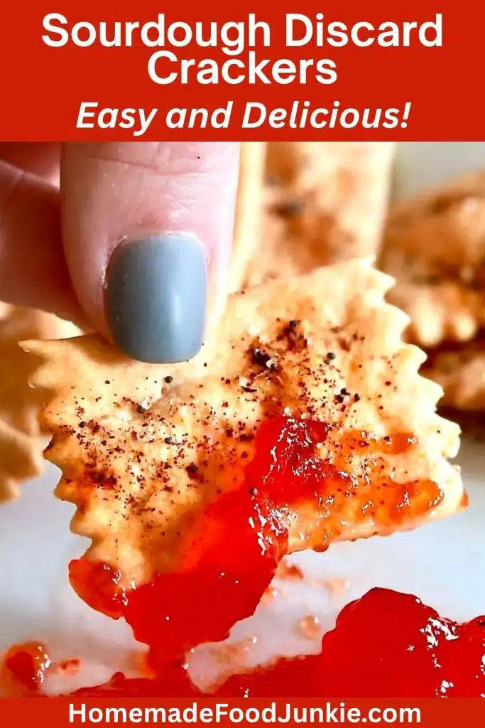 Best Sourdough Discard Crackers 9 Sourdough Discard Crackers