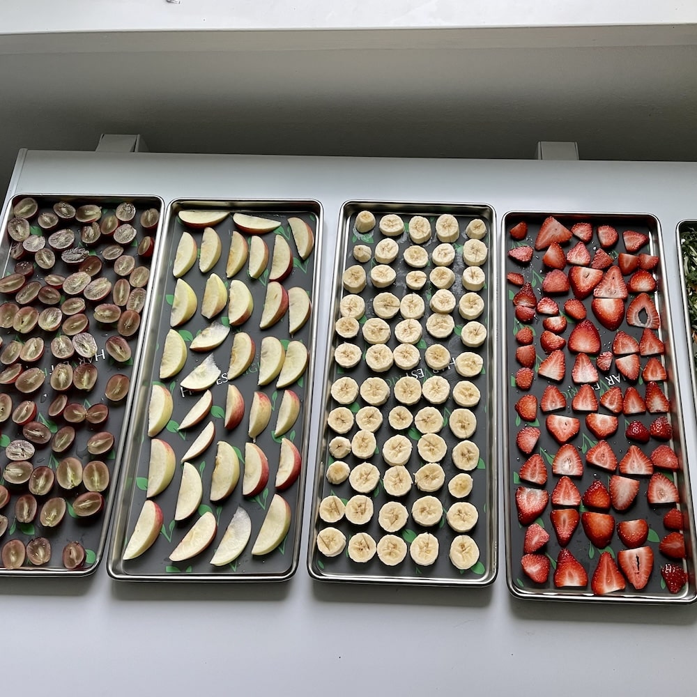 How Does Freeze Drying Work? 11 fruit on freeze dryer trays