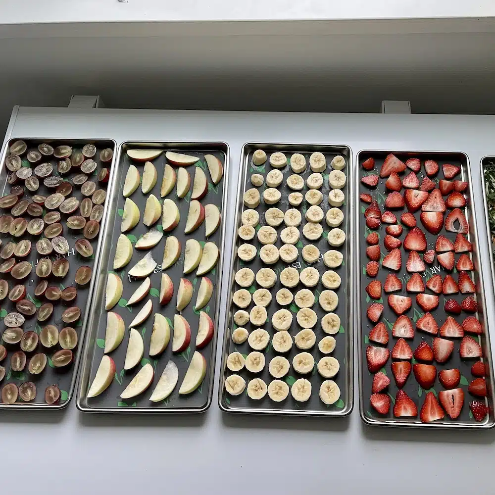 Freeze Drying Food Safety: How to Preserve Food Safely at Home 15 fruit on freeze dryer trays