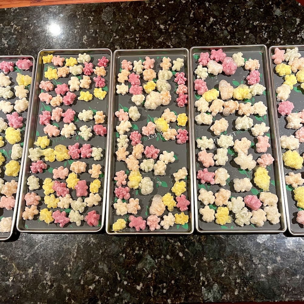 How Does Freeze Drying Work? 9 freeze dried gummy bears