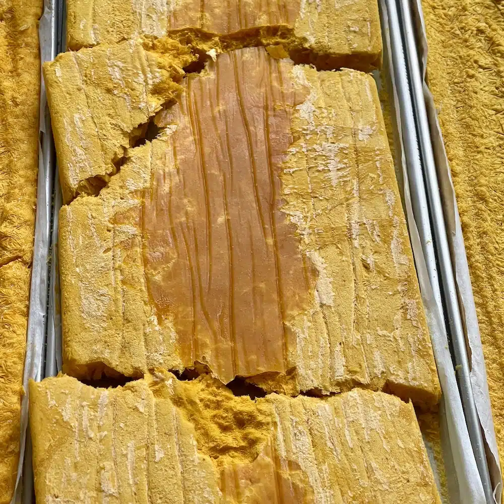 Freeze Drying Food Safety: How to Preserve Food Safely at Home 18 freeze dried pureed pumpkin with a wet middle. keep drying