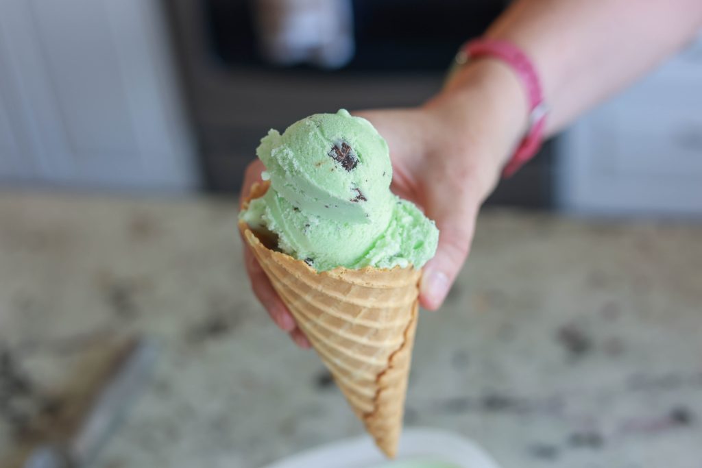 Mint Chocolate Chip Ice Cream