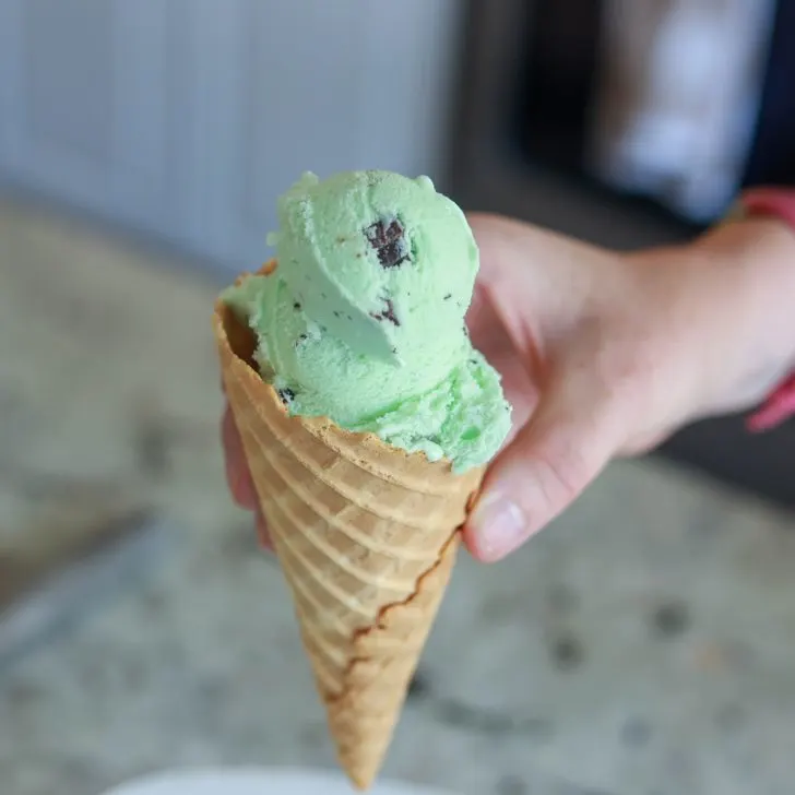 homemade mint chocolate chip ice cream