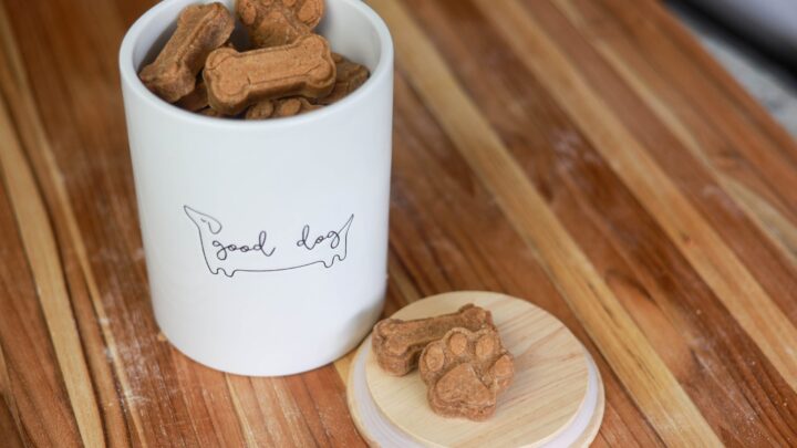 How To Make Healthy Dog Treats With Just 4 Ingredients 5 Homemade Dog Treats