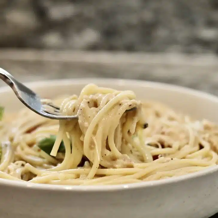 creamy crockpot chicken spaghetti close up