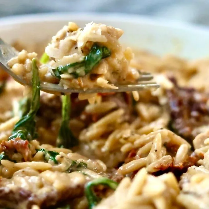 Marry Me Chicken Orzo Fork Full