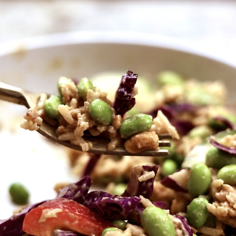Crispy Rice Veggie Bowl & Peanut Sauce 2 crispy rice veggie bowl is full of good plant protein