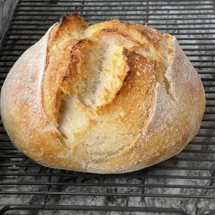 beginner sourdough artisan bread