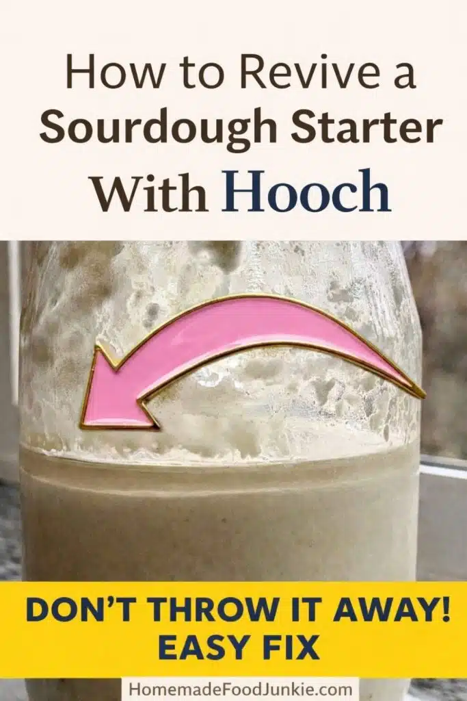 How to Revive Sourdough Starter (And When to Throw It Away) 1 How to Revive a Sourdough Starter