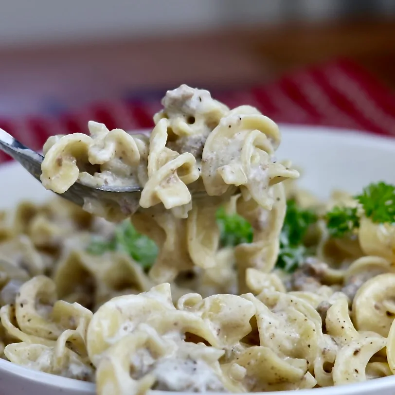 Creamy Ground Beef Stroganoff With Egg Noodles On A Fork. One Pot Ground Beef Stroganoff Is Easy On The Cook.