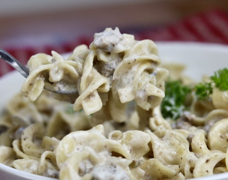 One Pot Ground Beef Stroganoff