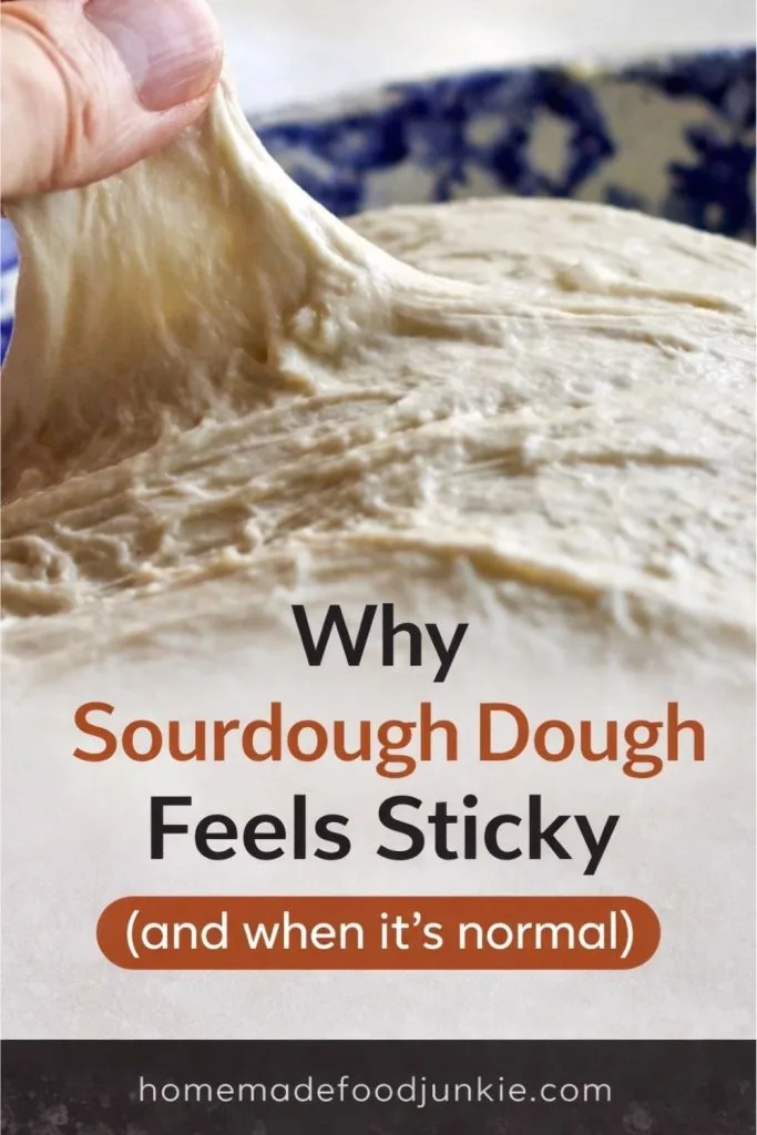 Understanding Sourdough Hydration 1 Sourdough Hydration Explained