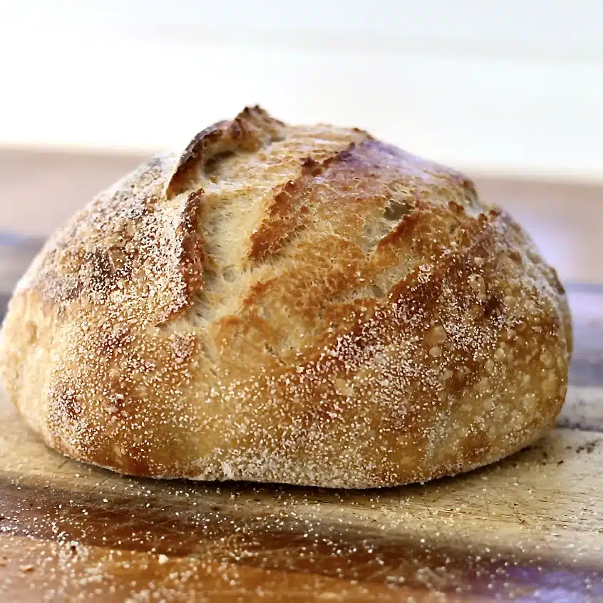 Cold Proof vs Cold Bulk Sourdough: Long Cold Rise Method Explained 5 cold bulk and cold proof after shaping. cold proof vs. cold bulk sourdough
