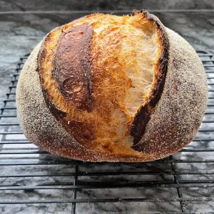 baked sourdough loaf using only the cold proof sourdough method.