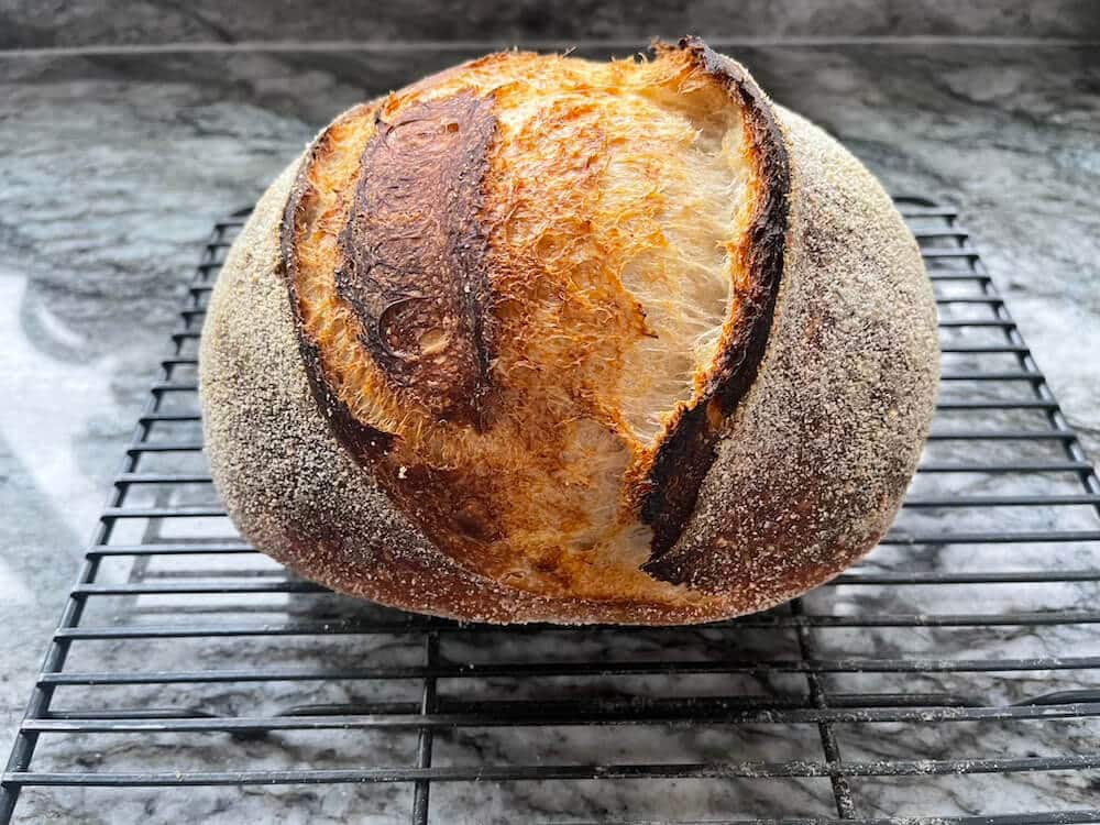 baked sourdough loaf using only the cold proof sourdough method.