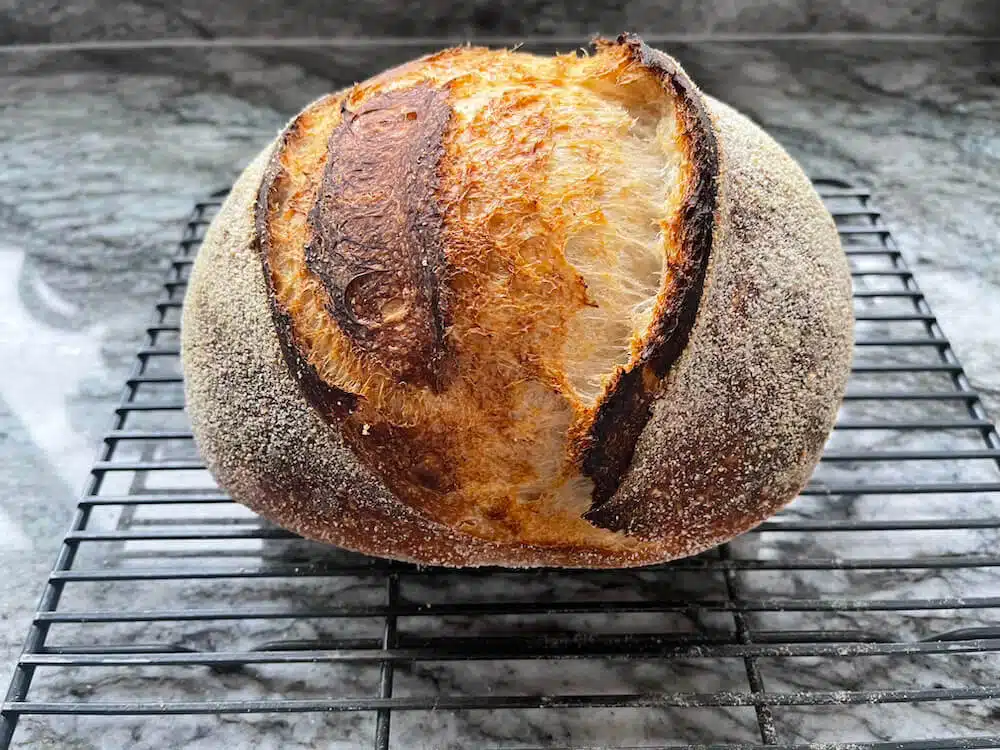 What Is Dough Structure in Sourdough? 18 baked sourdough loaf using only the cold proof sourdough method.