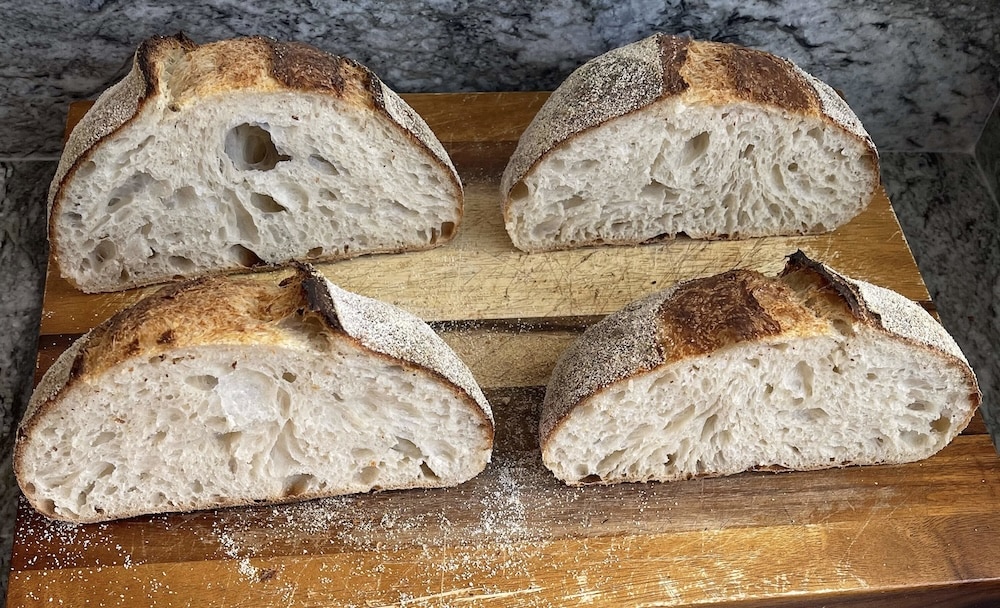 Cold Proof vs Cold Bulk Sourdough: Long Cold Rise Method Explained 16 Two sourdough loaves cold proofed overnight showing difference between open crumb and tighter crumb structure